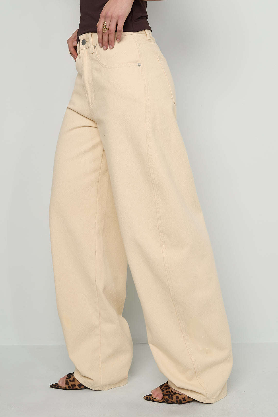 Zoey Wide Leg Balloon Pants
